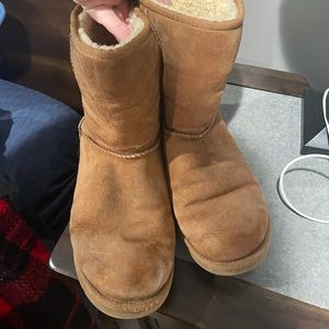 Chestnut short UGGS